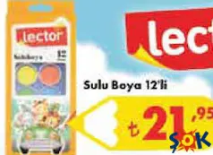 LECTOR SULU BOYA 12'Lİ